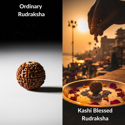 Kashi Kavach - 6 Mukhi Rudraksha